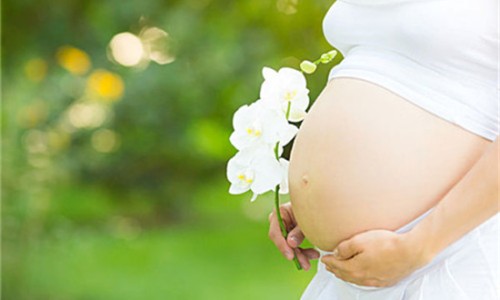 益生菌孕妇可以吃吗-哺乳期能吃益生菌吗网 | 益生菌孕妇可以吃吗,益生菌孕妇可以吃吗